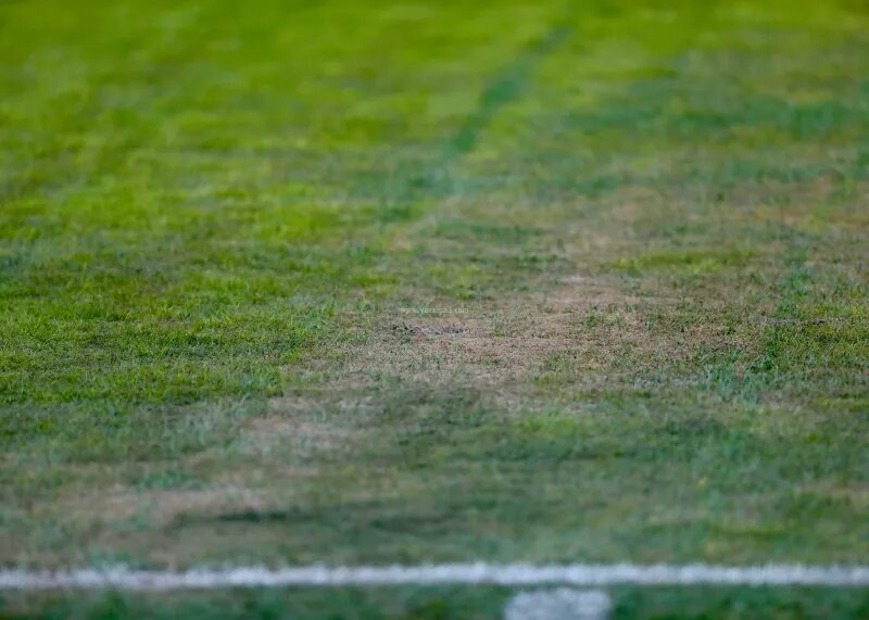 چمن استادیوم