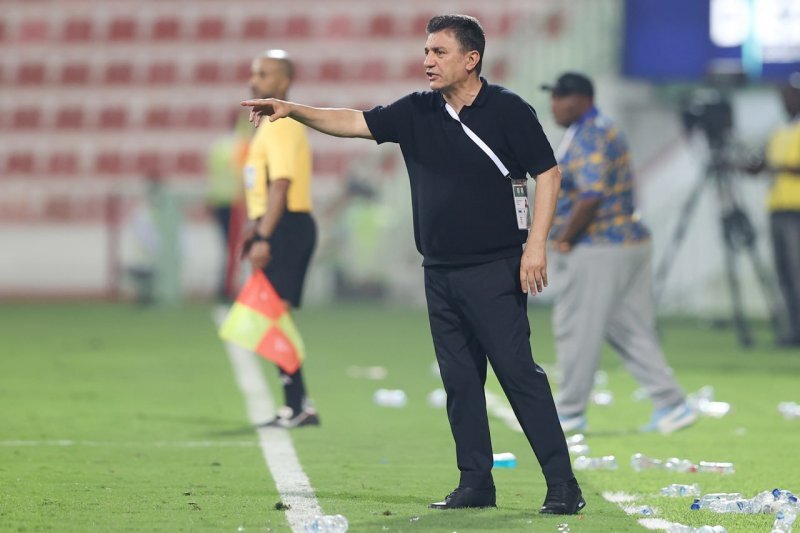 امیر قلعه‌نویی