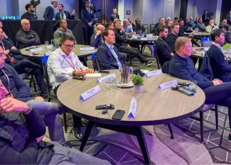 امیر قلعه‌نویی