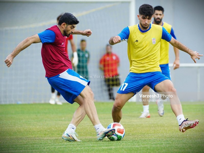 تیم ملی