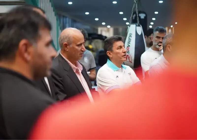 امیر قلعه‌نویی